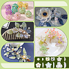   60Pcs 6 Styles Transparent Acrylic Bead Caps MACR-PH0001-79-5