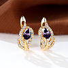 Brass Micro Pave Cubic Zirconia Hoop Earrings WG4C638-13-1