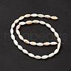 Natural Freshwater Shell Dyed Beads Strands SHEL-M018-13-13-3