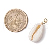 Natural Cowrie Shell Pendants PALLOY-JF03712-03-3