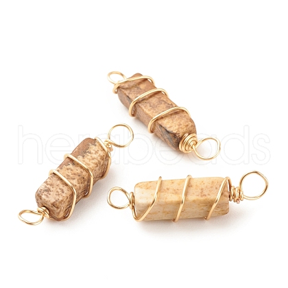Natural Picture Jasper Connector Charms PALLOY-JF01580-04-1
