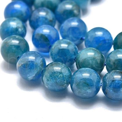 Natural Apatite Beads Strands G-O186-E02-8mm-1