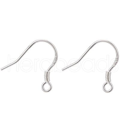 925 Sterling Silver Earring Hooks STER-E046-01S-1