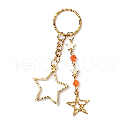 Alloy Pendant Keychian KEYC-JKC00799-01-1