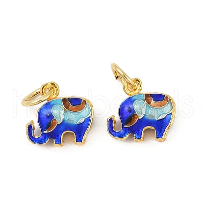 Brass Enamel Charms KK-Q081-01A-MG-1