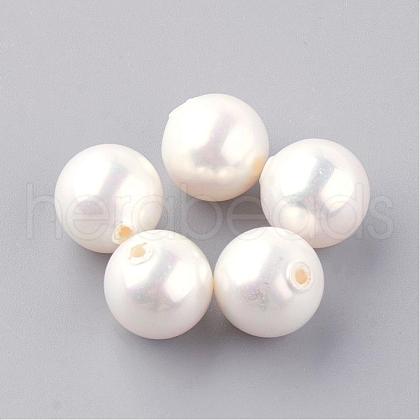 Natural Sea Shell Beads SHEL-Q008-18-10mm-1