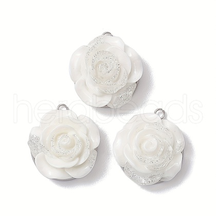 10Pcs Resin Pendants PALLOY-JF02772-04-S-1
