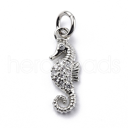 Brass Micro Pave Cubic Zirconia Charms ZIRC-F131-06P-1