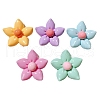 Resin Cabochones PW-WG0B52E-01-1