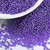 MIYUKI Round Rocailles Beads SEED-X0056-RR0176-1