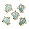 Natural Amazonite Pendants G-U019-02G-04-1