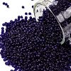 TOHO Round Seed Beads SEED-XTR15-0008DF-1