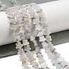 Natural Blue Lace Agate Beads Strands G-NH0001-C02-01-1