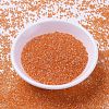 MIYUKI Delica Beads SEED-X0054-DB1887-2