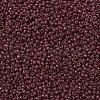 MIYUKI Round Rocailles Beads SEED-G007-RR0419-3