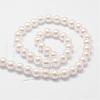 Rainbow Plated Shell Pearl Bead Strands BSHE-L025-02-8mm-2