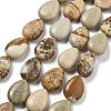 Natural Picture Jasper Beads Strands G-P528-L24-01-2