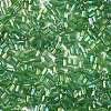 11/0 Two Cut Glass Seed Beads CSDB167-2