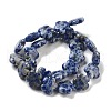 Natural Blue Spot Jasper Beads Strands G-F769-D01-01-3