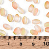 Frosted Glass Seed Beads SEED-N008-05D-4