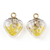 Glow in the Dark Luminous Glass Pendants GLAA-YWC0001-01D-1