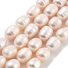 Natural Cultured Freshwater Pearl Beads Strands PEAR-P062-15B-2