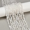 Natural Rainbow Moonstone Beads Strands G-Q060-D12-1