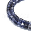 Natural Iolite Beads Strands G-P457-B01-35-2