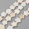 Natural Freshwater Shell Beads Strands X-SHEL-S276-84-1