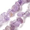 Natural Amethyst Beads Strands G-S386-B05-2