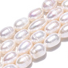 Natural Cultured Freshwater Pearl Beads Strands PEAR-N012-07R-4
