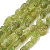 Raw Rough Natural Peridot Beads Strands G-M453-D12-2