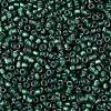 TOHO Round Seed Beads SEED-JPTR08-0270F-2