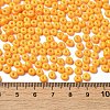 Baking Paint Glass Seed Beads SEED-B001-02A-17-4