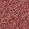 MIYUKI Round Rocailles Beads SEED-X0054-RR0373-3