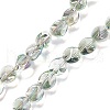 Electroplate Glass Beads Strands EGLA-L038-FR02-1