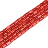 Natural Freshwater Shell Beads Strands BSHE-H109-17D-1