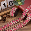 Ethnic Style Embroidery Polyester Ribbons SK-TAC0001-01-13