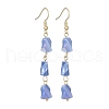 Glass Beaded Tassel Dangle Earrings with 304 Stainless Steel Pins EJEW-JE05334-3