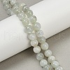 Natural Green Moonstone Beads Strands G-NH0060-A01-01-1