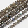 Natural Labradorite Round Bead Strands G-M262-5mm-09-1