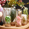 CRASPIRE 15Pcs 5 Styles Glass Dome Cover AJEW-CP0005-92-4