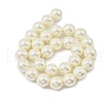 Round Shell Pearl Beads Strands BSHE-XCP0001-25C-02-2
