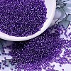 MIYUKI Round Rocailles Beads SEED-G007-RR1347-4