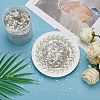 Olycraft Mica Fragment Nail Art Decoration Accessories MRMJ-OC0001-88-5