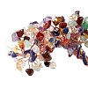 Natural Gemstone Tree Display Decoration DJEW-G027-02RG-02-3