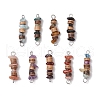 9Pcs 9 Styles Natural Mixed Stone Chip & Natural Coconut Disc Beaded Connector Charms PALLOY-JF03571-1