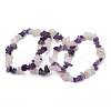 Chips Gemstone Beaded Stretch Bracelets X-BJEW-JB01824-04-2