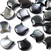 Natural Black Lip Shell Beads SSHEL-S258-99A-1