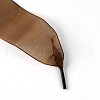 Flat Transparency Polyester Chiffon Shoelaces DIY-WH0265-04K-2